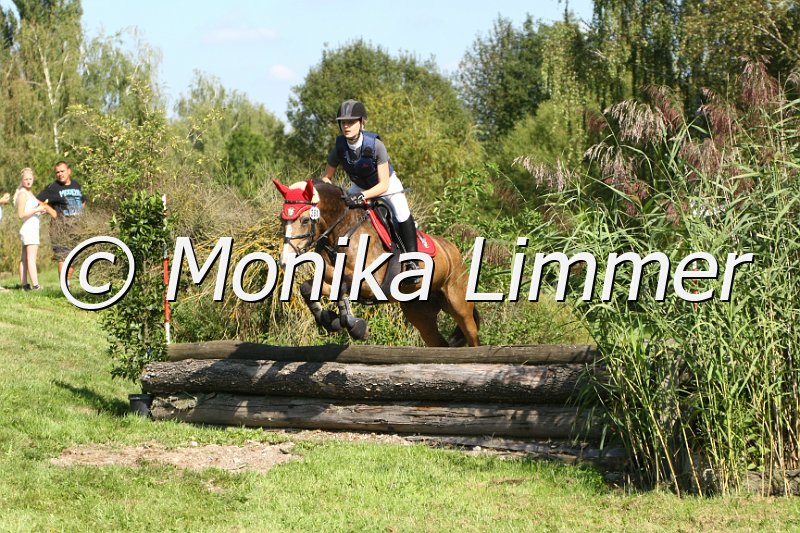 109M7635_Mini Maus_Ponystilgelaende E.JPG